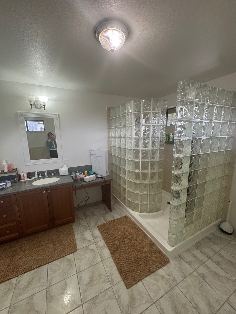 Glass-block shower and dated vanity, before